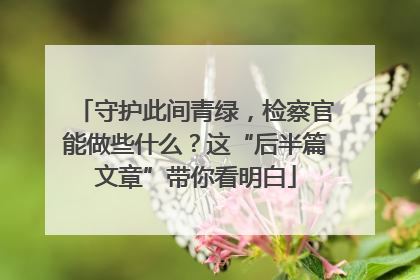 守护此间青绿，检察官能做些什么？这“后半篇文章”带你看明白
