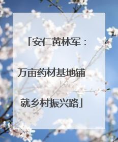 安仁黄林军：万亩药材基地铺就乡村振兴路