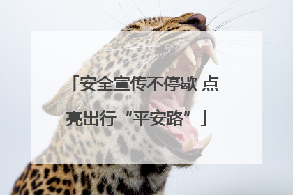安全宣传不停歇 点亮出行“平安路”