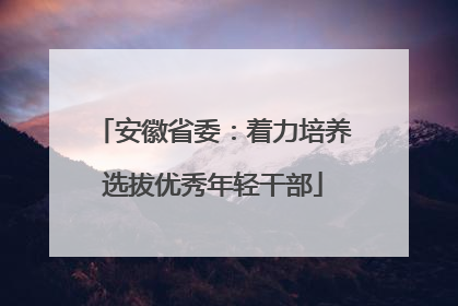 安徽省委：着力培养选拔优秀年轻干部