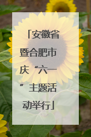 安徽省暨合肥市庆“六一”主题活动举行