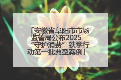安徽省阜阳市市场监管局公布2025“守护消费”铁拳行动第一批典型案例