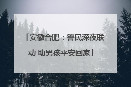 安徽合肥：警民深夜联动 助男孩平安回家