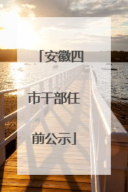 安徽四市干部任前公示