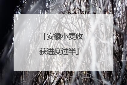 安徽小麦收获进度过半