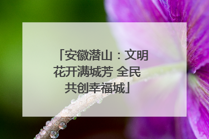 安徽潜山：文明花开满城芳 全民共创幸福城