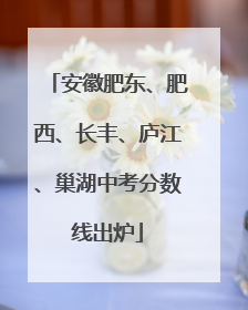 安徽肥东、肥西、长丰、庐江、巢湖中考分数线出炉