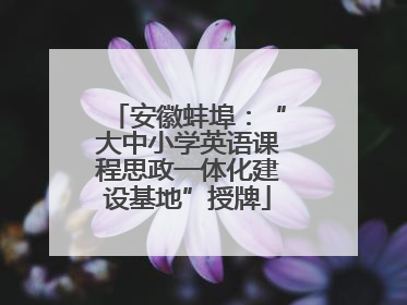 安徽蚌埠：“大中小学英语课程思政一体化建设基地”授牌