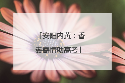 安阳内黄：香囊寄情助高考