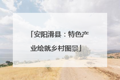 安阳滑县：特色产业绘就乡村图景