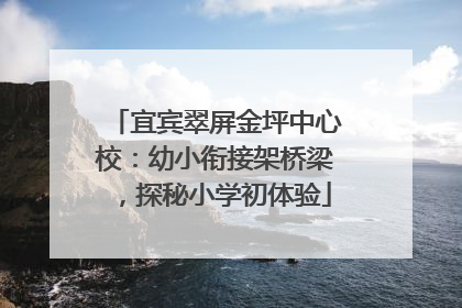 宜宾翠屏金坪中心校：幼小衔接架桥梁，探秘小学初体验
