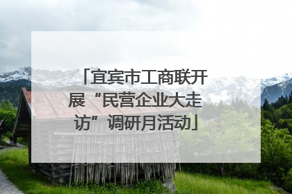 宜宾市工商联开展“民营企业大走访”调研月活动