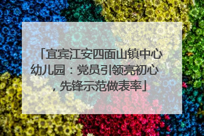 宜宾江安四面山镇中心幼儿园：党员引领亮初心，先锋示范做表率