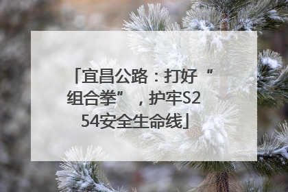 宜昌公路：打好“组合拳”，护牢S254安全生命线