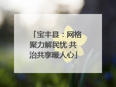 宝丰县：网格聚力解民忧 共治共享暖人心