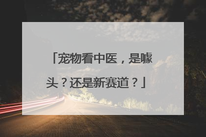 宠物看中医，是噱头？还是新赛道？