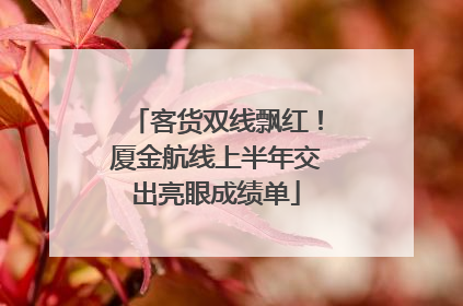 客货双线飘红！厦金航线上半年交出亮眼成绩单