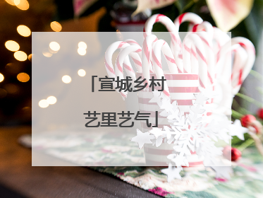 宣城乡村 艺里艺气