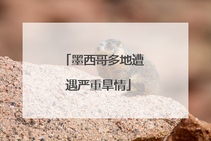 墨西哥多地遭遇严重旱情