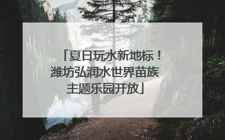 夏日玩水新地标！潍坊弘润水世界苗族主题乐园开放