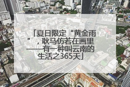 夏日限定“黄金雨”，耿马仿若在画里——有一种叫云南的生活之365天