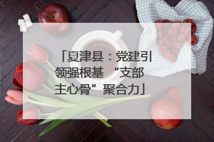 夏津县：党建引领强根基 “支部主心骨”聚合力