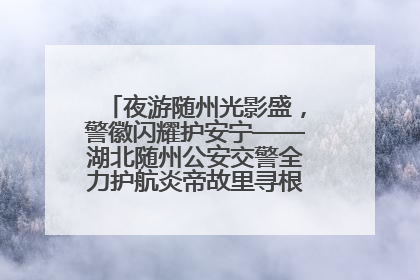 夜游随州光影盛，警徽闪耀护安宁——湖北随州公安交警全力护航炎帝故里寻根节夜游活动侧记