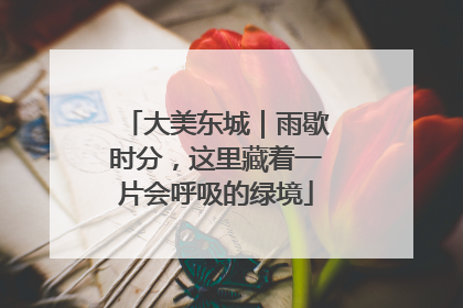 大美东城｜雨歇时分，这里藏着一片会呼吸的绿境