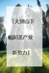 大别山下崛起茶产业新势力
