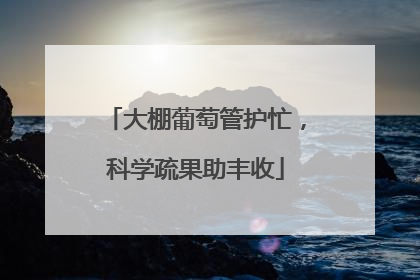 大棚葡萄管护忙，科学疏果助丰收