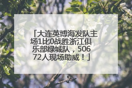 大连英博海发队主场1比0战胜浙江俱乐部绿城队，50672人现场助威！