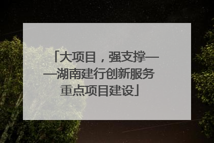 大项目，强支撑——湖南建行创新服务重点项目建设
