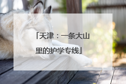 天津：一条大山里的护学专线