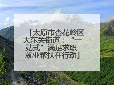 太原市杏花岭区大东关街道：“一站式”满足求职 就业帮扶在行动