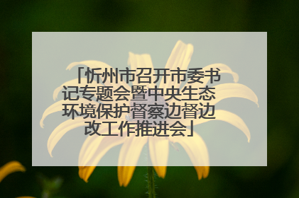 忻州市召开市委书记专题会暨中央生态环境保护督察边督边改工作推进会