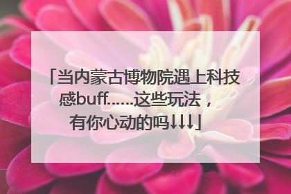 当内蒙古博物院遇上科技感buff……这些玩法，有你心动的吗↓↓↓