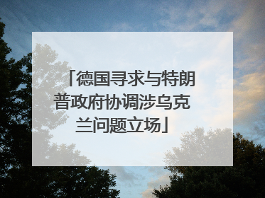 德国寻求与特朗普政府协调涉乌克兰问题立场