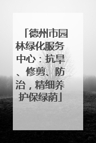 德州市园林绿化服务中心：抗旱、修剪、防治，精细养护保绿荫