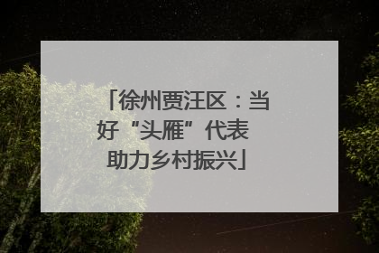 徐州贾汪区：当好“头雁”代表 助力乡村振兴