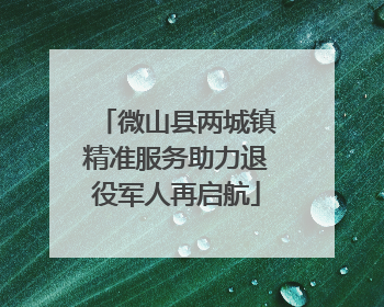 微山县两城镇精准服务助力退役军人再启航