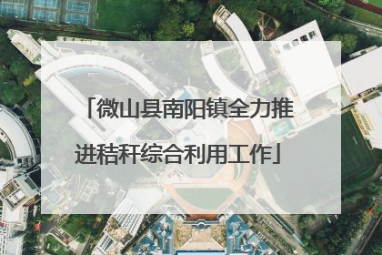 微山县南阳镇全力推进秸秆综合利用工作