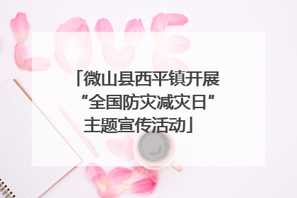 微山县西平镇开展“全国防灾减灾日”主题宣传活动
