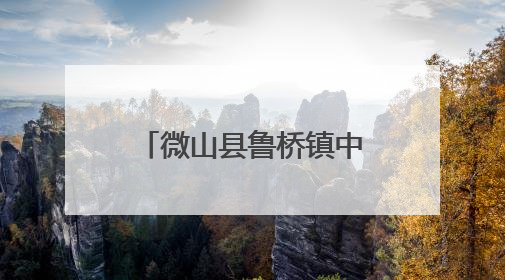 微山县鲁桥镇中心幼儿园举办“与‘粽’不同的六一”双节主题活动