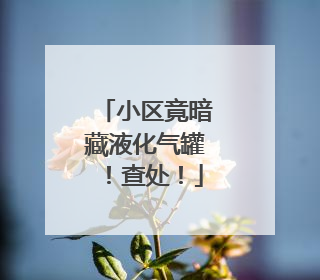 小区竟暗藏液化气罐！查处！