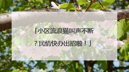 小区流浪猫叫声不断？民情快办出招啦！