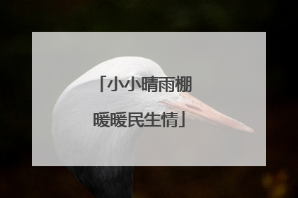 小小晴雨棚 暖暖民生情