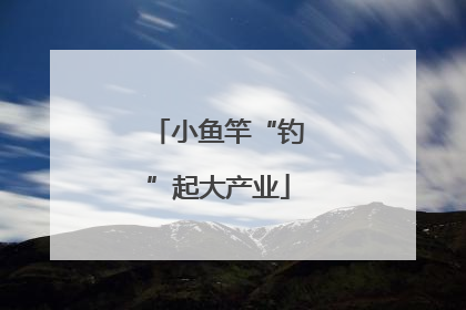 小鱼竿“钓”起大产业