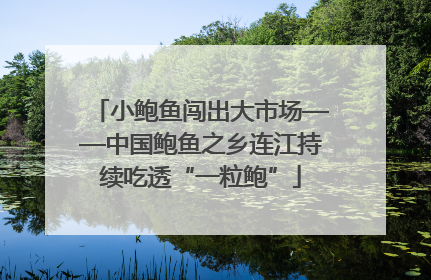小鲍鱼闯出大市场——中国鲍鱼之乡连江持续吃透“一粒鲍”