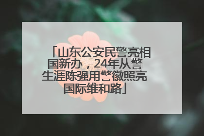 山东公安民警亮相国新办，24年从警生涯陈强用警徽照亮国际维和路