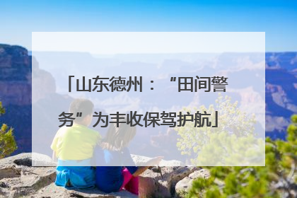 山东德州：“田间警务”为丰收保驾护航